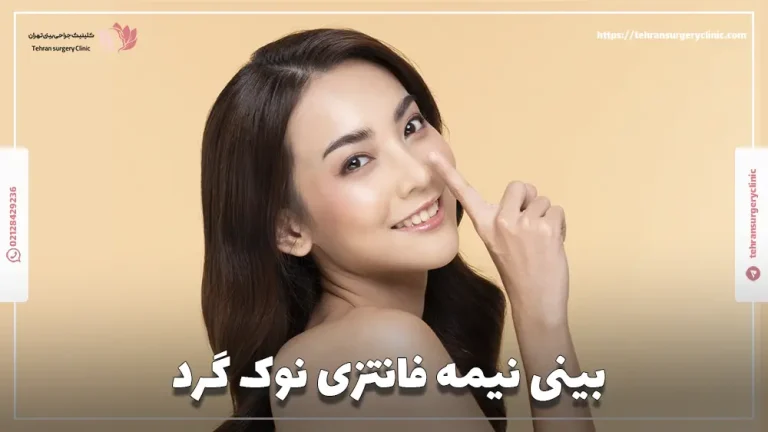 بینی نیمه فانتزی نوک گرد: رینوپلاستی نیمه فانتزی بینی نوک گرد