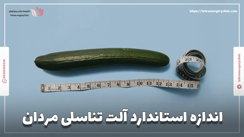 اندازه استاندارد آلت تناسلی مردان
