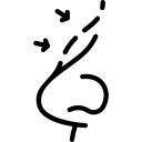 رینوپلاستی