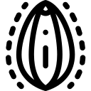 لابیاپلاستی