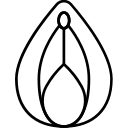 هودکتومی
