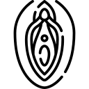 واژینوپلاستی
