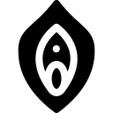 کولپورافی خلفی